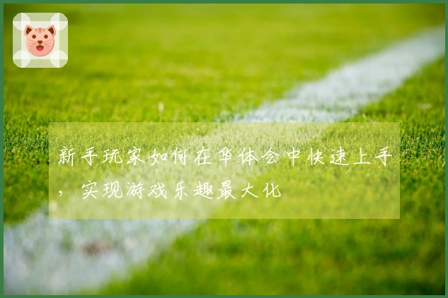 新手玩家如何在华体会中快速上手，实现游戏乐趣最大化