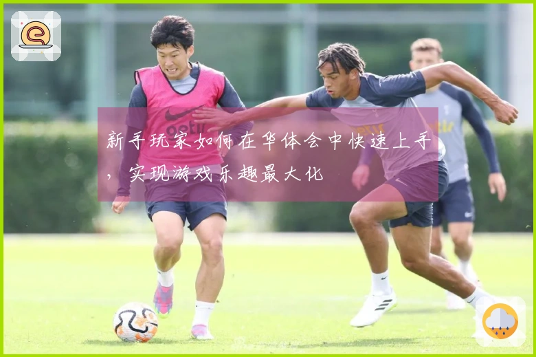 新手玩家如何在华体会中快速上手，实现游戏乐趣最大化